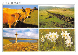Delcampe - L AUBRAC 23(scan Recto-verso) MA900 - Aumont Aubrac