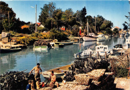 Delcampe - LA TREMBLADE Le Canal Manes D Huitres Et Collecteurs Prepares Pour Etre Transportes 7(scan Recto-verso) MA935 - La Tremblade