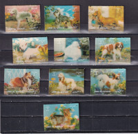Delcampe - Umm Al Qiwain Nº Michel 1634 Al 1643 - 3D - Hunde