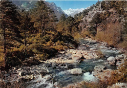 Delcampe - Environs De CORTE La Restonica 2(scan Recto-verso) MA925 - Corte