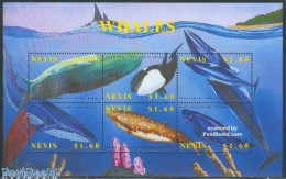 Delcampe - Nevis 2002 Whales 6v M/s /sperm Whale, Mint NH, Nature - Sea Mammals - St.Kitts-et-Nevis ( 1983-...)