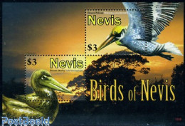 Delcampe - Nevis 2010 Birds Of Nevis S/s, Mint NH, Nature - Birds - St.Kitts-et-Nevis ( 1983-...)