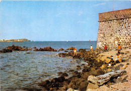 Delcampe - CAP D AGDE Floride Occitane Vue Partielle Du Fort De Brescou 8(scan Recto-verso) MA943 - Agde
