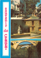 Delcampe - Souvenir De CERET 29(scan Recto-verso) MA940 - Ceret