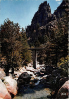 Delcampe - Environs De CORTE La Restonica Pont De Tragone 30(scan Recto-verso) MA964 - Corte
