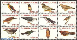 Delcampe - Suriname, Republic 2006 Birds 12v Sheetlet, Mint NH, Nature - Birds - Owls - Surinam