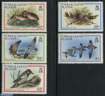 Delcampe - Turks And Caicos Islands 1980 Birds 5v, Mint NH, Nature - Birds - Woodpeckers - Geese - Autres & Non Classés