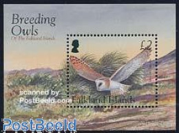Delcampe - Falkland Islands 2004 Owls S/s, Mint NH, Nature - Birds - Birds Of Prey - Owls - Autres & Non Classés