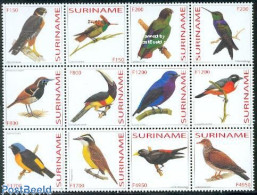 Delcampe - Suriname, Republic 2003 Birds 12v [===], Mint NH, Nature - Birds - Surinam
