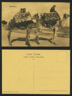 Delcampe - Egypt Old Postcard Chameaux - Men & Children On Camels - Sonstige & Ohne Zuordnung