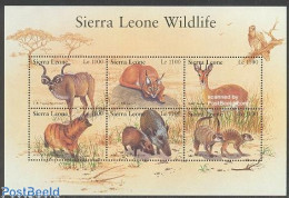 Delcampe - Sierra Leone 2002 Wildlife 6v M/s, Mint NH, Nature - Animals (others & Mixed) - Cat Family - Autres & Non Classés