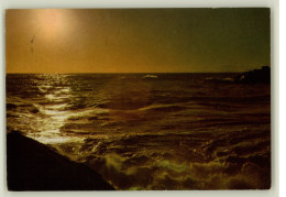 Delcampe - AK - Lignano - 10x 15cm - #AK2855# - Udine