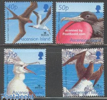 Delcampe - Ascension 2001 Birdlife 4v, Mint NH, Nature - Bird Life Org. - Birds - Ascensión