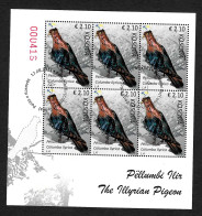 Delcampe - Kosovo 2021: Illyrische Taube, Pellumbi Ilir (Columba Ilyrica), Gestempelt - Kosovo