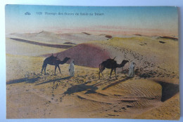 Delcampe - ALGERIE - Paysage De Dunes - Szenen