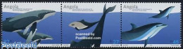 Delcampe - Angola 2004 Sea Mammals 3v [::], Mint NH, Nature - Sea Mammals - Angola