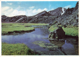 Delcampe - CPSM Landmannalaugar-RARE   L4805 - Island