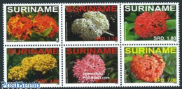 Delcampe - Suriname, Republic 2008 Flowers 6v [++], Mint NH, Nature - Flowers & Plants - Surinam