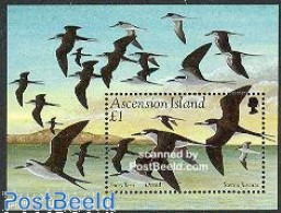 Delcampe - Ascension 1994 Sterna Fuscata S/s, Mint NH, Nature - Birds - Ascensión