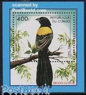 Delcampe - Congo Republic 1993 Brasiliana/birds S/s, Mint NH, Nature - Birds - Autres & Non Classés