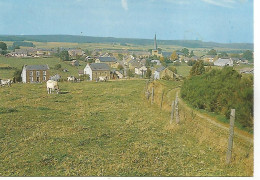 Delcampe - Tillet Sainte-ode - Sainte-Ode