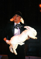 Delcampe - CPM - CIRQUE - SHMARLOWSKI - Fête Lilloise 2004 - Photo Y.Kervinio - Edition Aventure Carto. - Zirkus