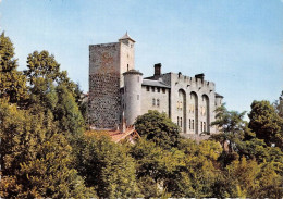 Delcampe - AURILLAC Capitale De La Haute Auvergne Chateau St Etienne XVIe S Donjon 21(scan Recto-verso) MA1005 - Aurillac