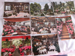 Delcampe - LOT DE 8 CARTES  BOUGIVAL..."HOSTELLERIE DU COQ HARDY"..SALON..SALLE..JARDINS..TERRASSE.. - Bougival