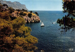 Delcampe - CASSIS Promenade Dans Les Calanques Les Cigales Le Soleil La Mer Le Reve 10(scan Recto-verso) MA1034 - Cassis