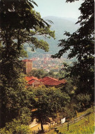 Delcampe - ALLEVARD LES BAINS Vue Generale Et Le Chateau 24(scan Recto-verso) MA1023 - Allevard