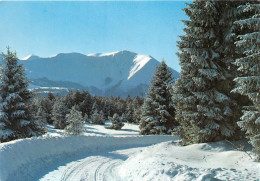 Delcampe - Route De GRENOBLE A CHAMROUSSE 30(scan Recto-verso) MA1023 - Grenoble