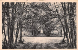 Delcampe - CHAEAUNEUF EN THYMERAIS Le Rond Du Calvaire Vue Prise Allee Des Sopirs 4(scan Recto-verso) MA1054 - Châteauneuf