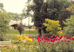 Delcampe - Les Pins Et Gites De Cordouan La Palmyre LES MATHES 15(scan Recto-verso) MA1053 - Les Mathes