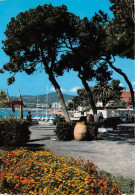 Delcampe - JUAN LES PINS Et Sa Pinede Fleurie 20(scan Recto-verso) MA1076 - Juan-les-Pins