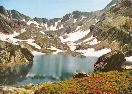 Delcampe - Environs De SAINT MARTIN VESUBIE Lac Trecoulpas Et Pas Des Ladres 2(scan Recto-verso) MA1074 - Saint-Martin-Vésubie