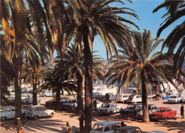 Delcampe - BANDOL Allees De Palmiers Sur Les Quais 13(scan Recto-verso) MA1075 - Bandol