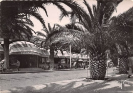 Delcampe - PERPIGNAN Le Palmarium 17(scan Recto-verso) MA1073 - Perpignan