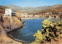 Delcampe - CERBERE Porte De France Vue Sur La Ville Prise De La Frontiere 19(scan Recto-verso) MA1073 - Cerbere