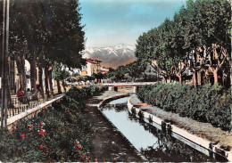 Delcampe - PERPIGNAN Les Quais Fleuris De La Basse Au Fond Le Canigou 9(scan Recto-verso) MA1073 - Perpignan