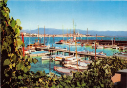 Delcampe - ANTIBES Le Port De La Salis 17(scan Recto-verso) MA1060 - Juan-les-Pins