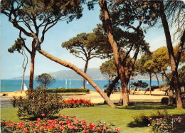 Delcampe - ANTIBES JUAN LES PINS La Pinede 27(scan Recto-verso) MA1060 - Juan-les-Pins