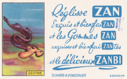 Delcampe - BUV-0195 French Advertising Blotter – ZAN / ZANBI – Animal Series – Géotrie - Accumulators