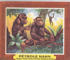 Delcampe - BUV-0184 French Advertising Blotter – Pétrole Hahn – Animal Series – Primates - Accumulators