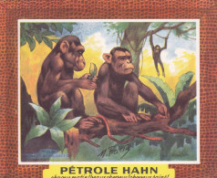 Delcampe - BUV-0099 French Advertising Blotter – Pétrole Hahn – Animal Series – Monkeys - Accumulators