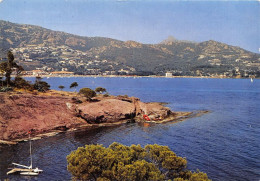 Delcampe - SAINT RAPHAEL AGAY Vue Generale La Rade 11(scan Recto-verso) MA1099 - Saint-Raphaël