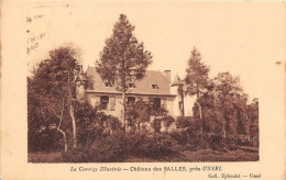 Delcampe - Chateau Des SALLES Pres De USSEL 16(scan Recto-verso) MA1096 - Ussel