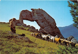 Delcampe - TRANSHUMANCE Mouton Moutons La Pierre Percee Une Des 7 Merveilles Du Dauphine 10(scan Recto-verso) MA1086 - Elevage