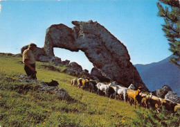 Delcampe - TRANSHUMANCE Mouton Moutons La Pierre Percee Une Des 7 Merveilles Du Dauphine 38 Isere 15(scan Recto-verso) MA1086 - Elevage