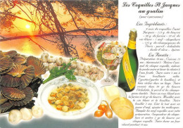 Delcampe - LES COQUILLES ST JACQUES AU GRATIN 9(scan Recto-verso) MA1084 - Küchenrezepte