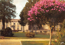 Delcampe - DAX Ville Thermale Le Jardin Public Et Au Fond La Mairie 10(scan Recto-verso) MA1079 - Dax
